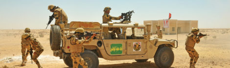 Egypt Promotes Counterterrorism