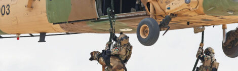 Fostering Special Forces