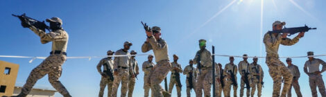 Bahrain Military Exhibits Skills
