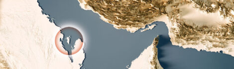 A Guardian of the Arabian Gulf