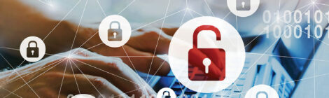 Egypt fights cyber crime