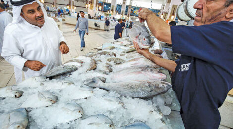 Kuwait Promotes Regional Food Security