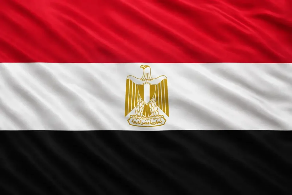 Egypt Promotes Mediterranean Military Partnership